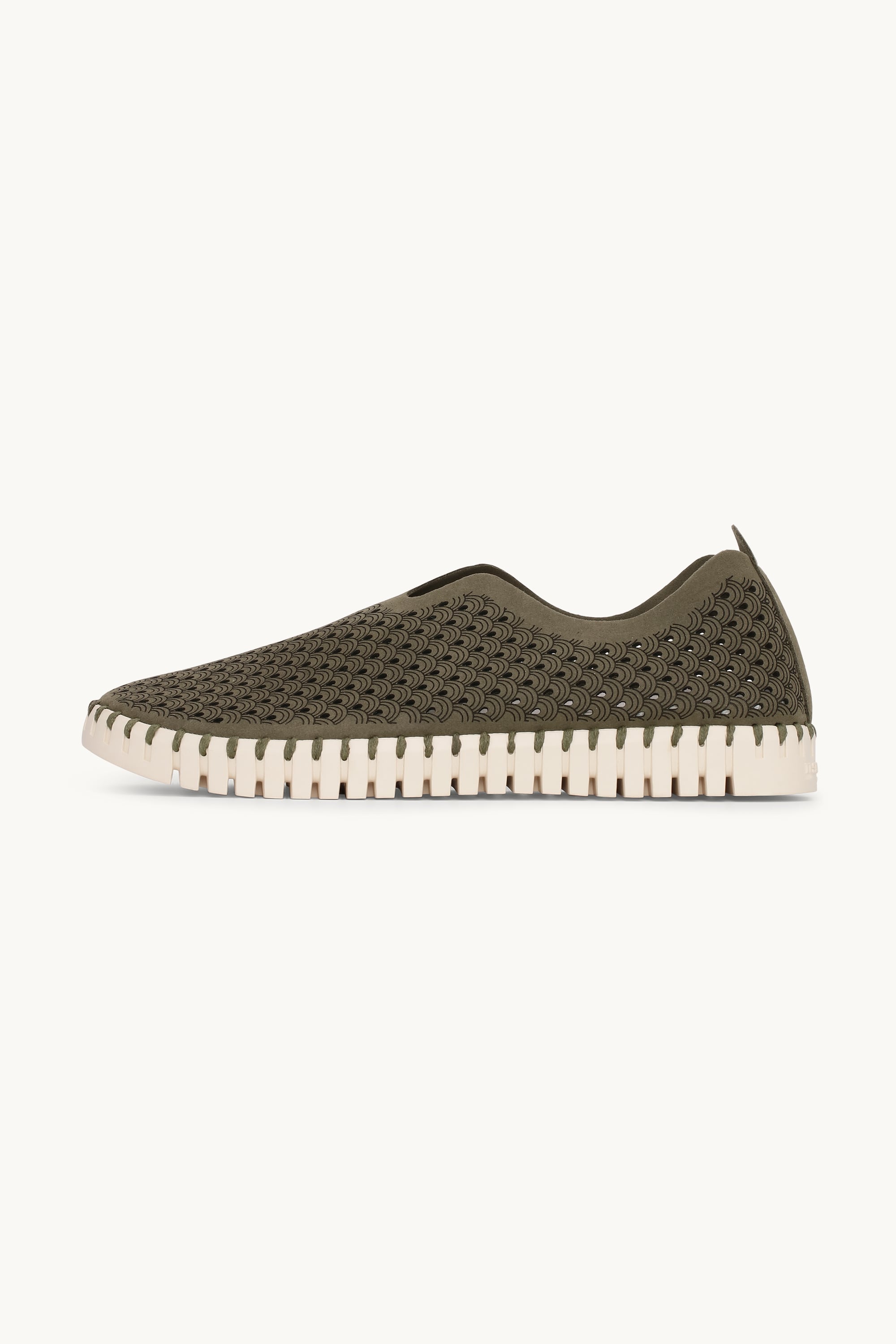 Tulip Skor - Deep Olive