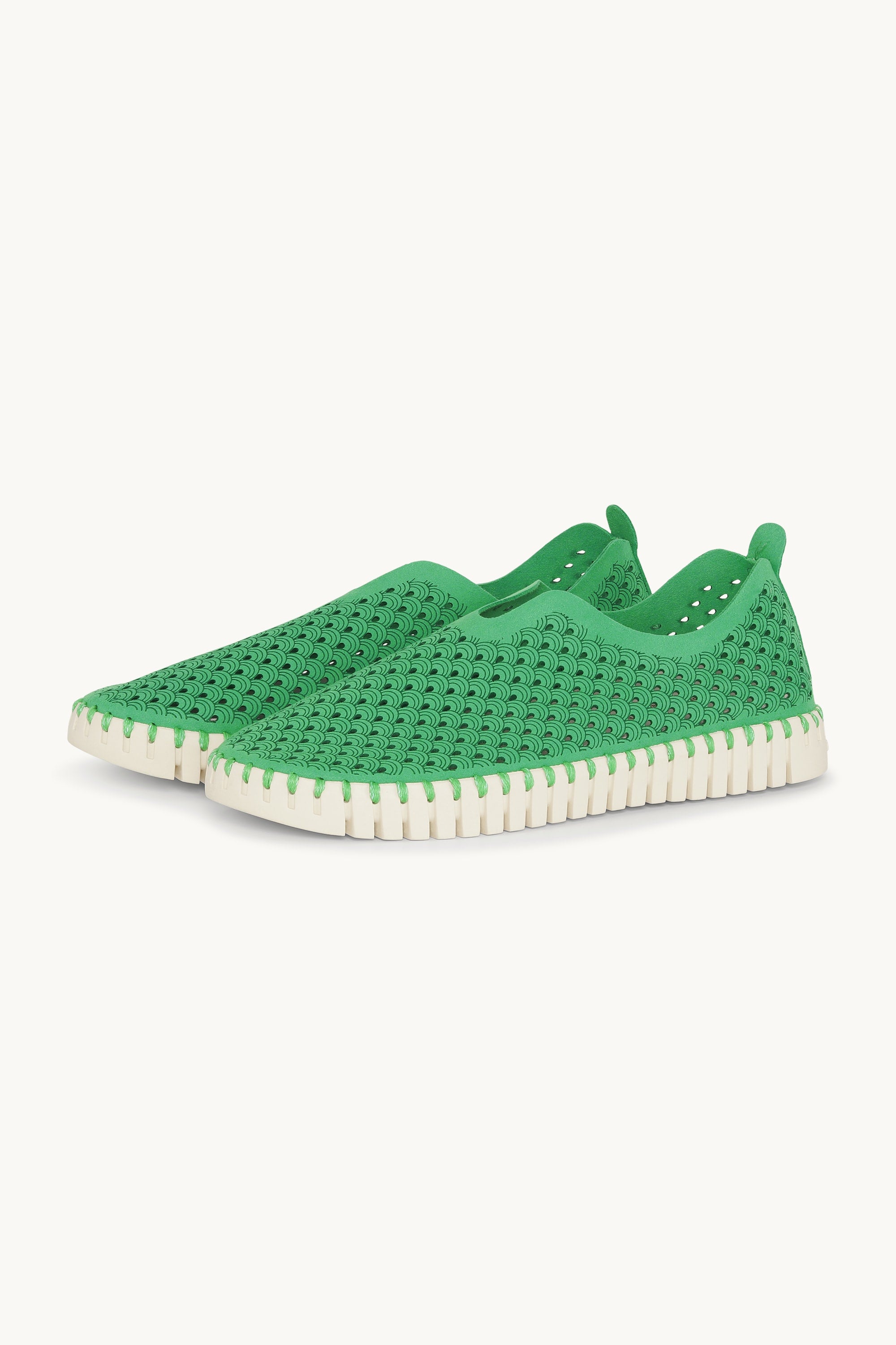 Tulip Skor - Fern Green