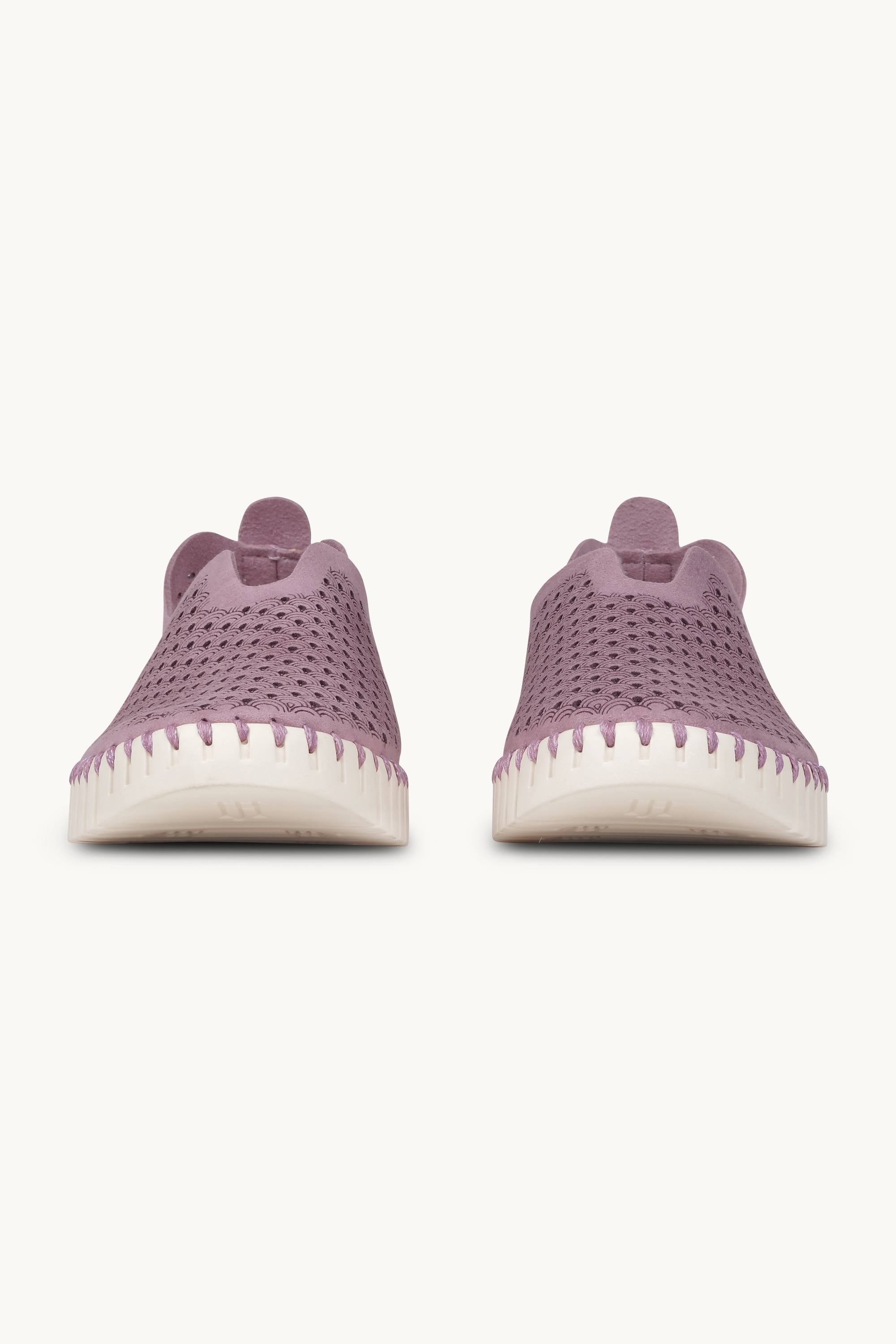 Tulip Skor - Mauve Shadows