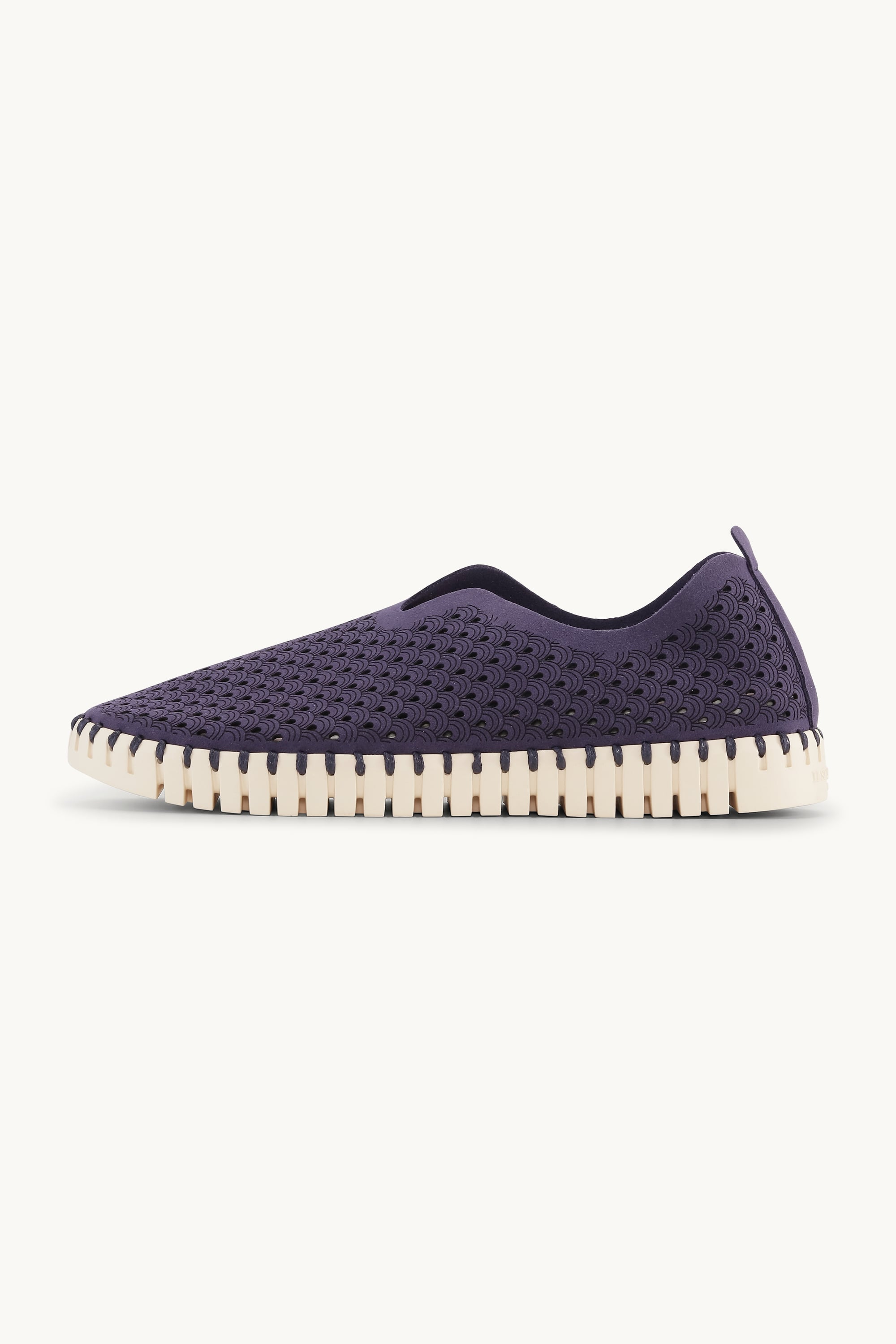Tulip Skor - Navy