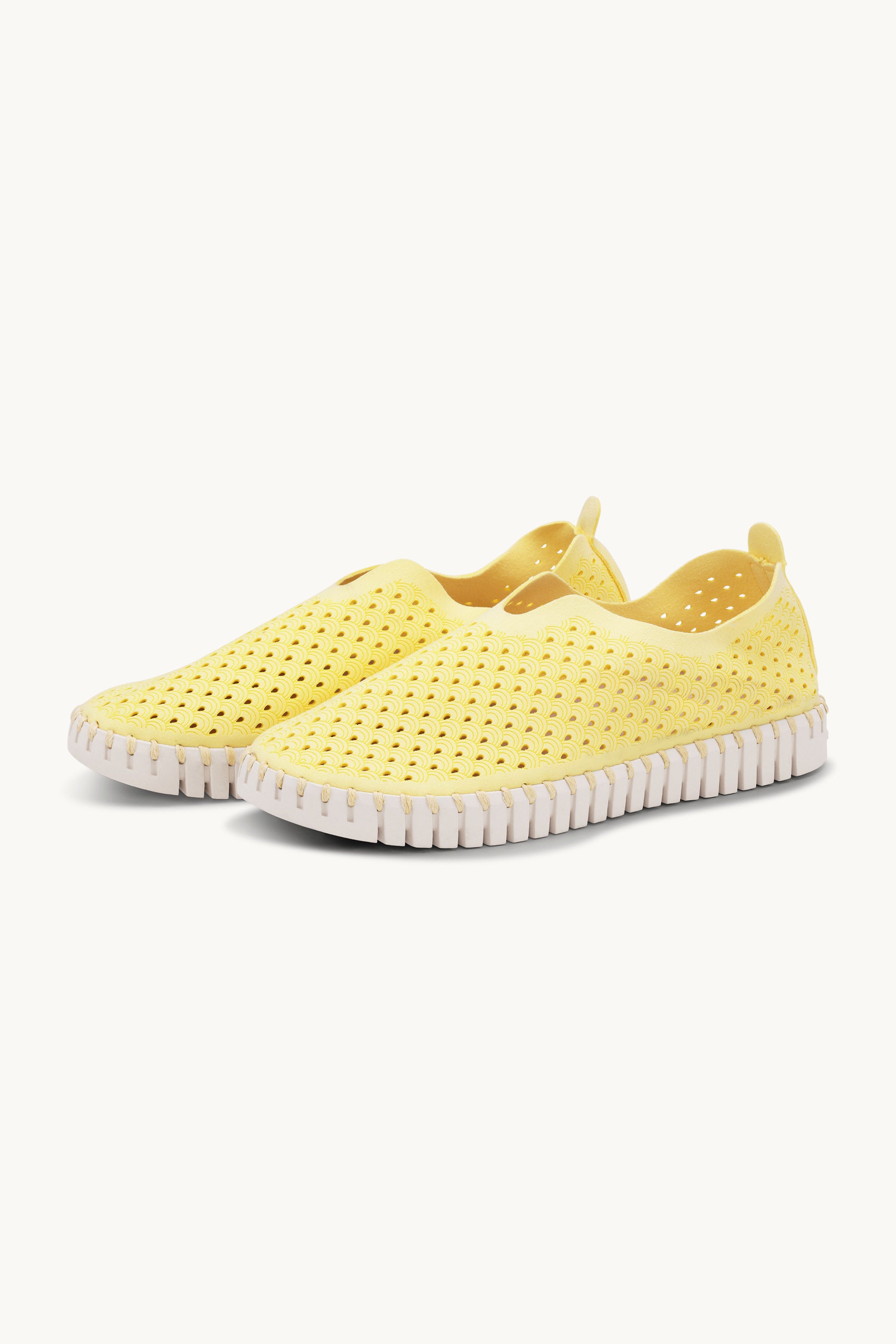 Tulip Skor - Lemon Drop