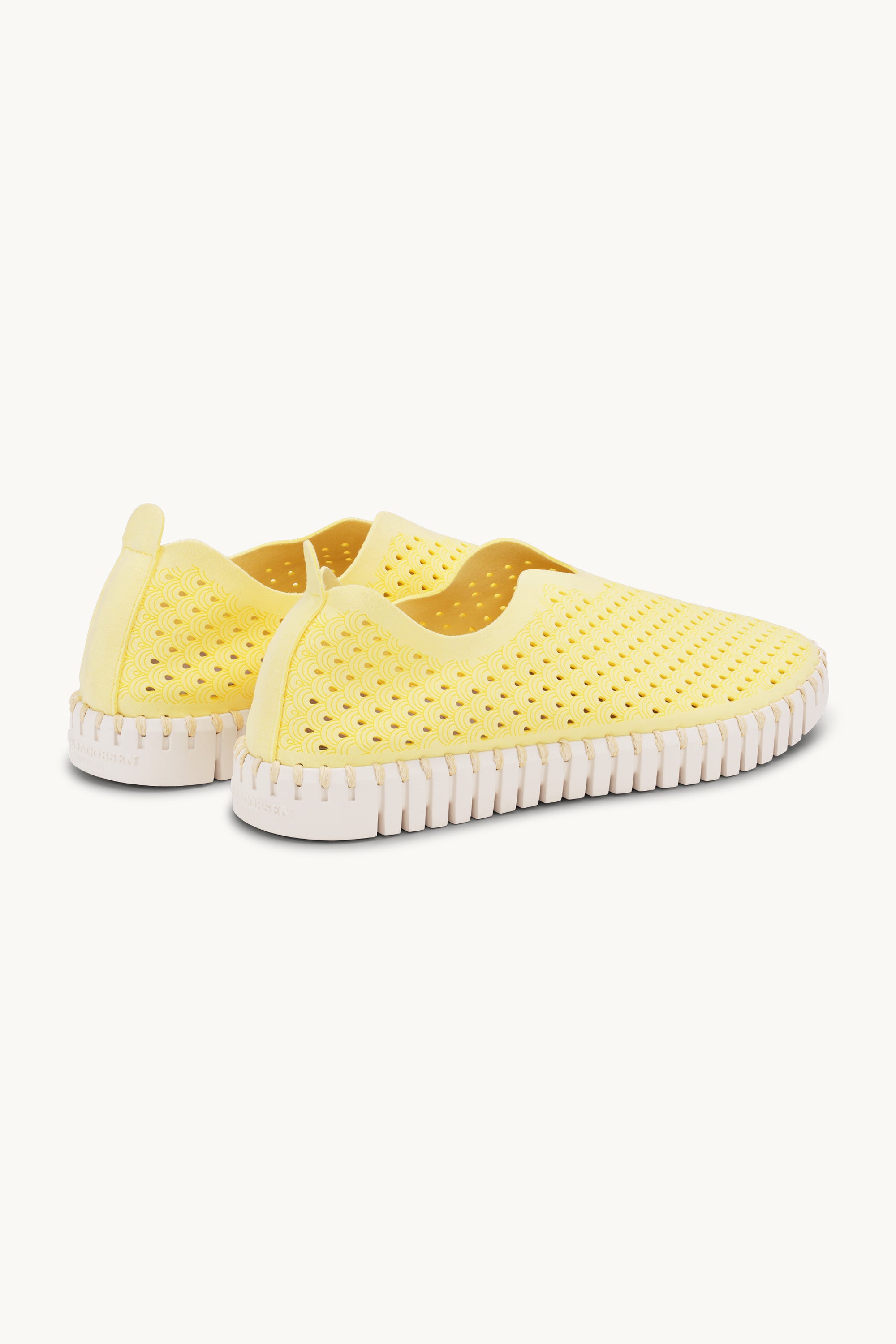 Tulip Skor - Lemon Drop