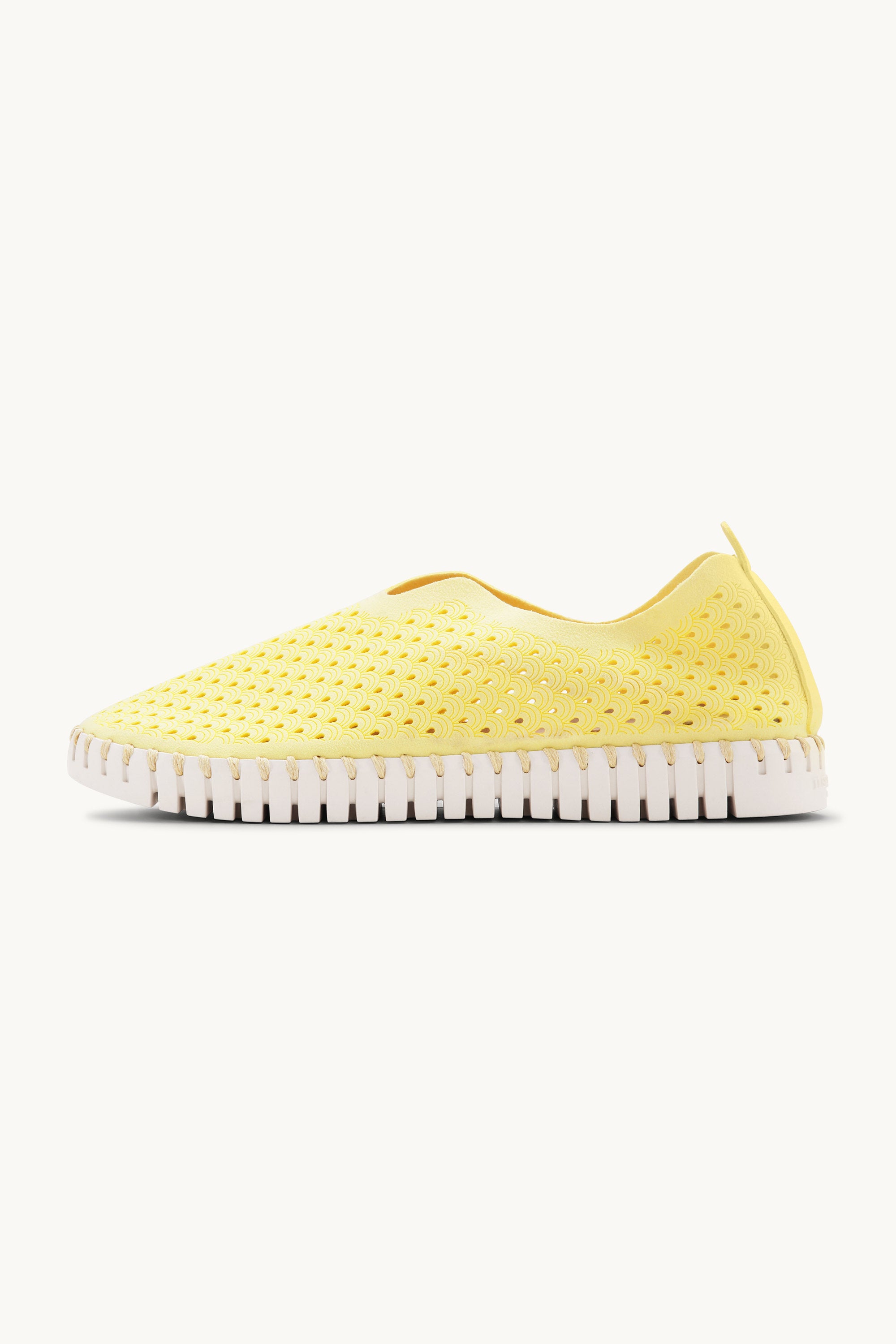 Tulip Skor - Lemon Drop