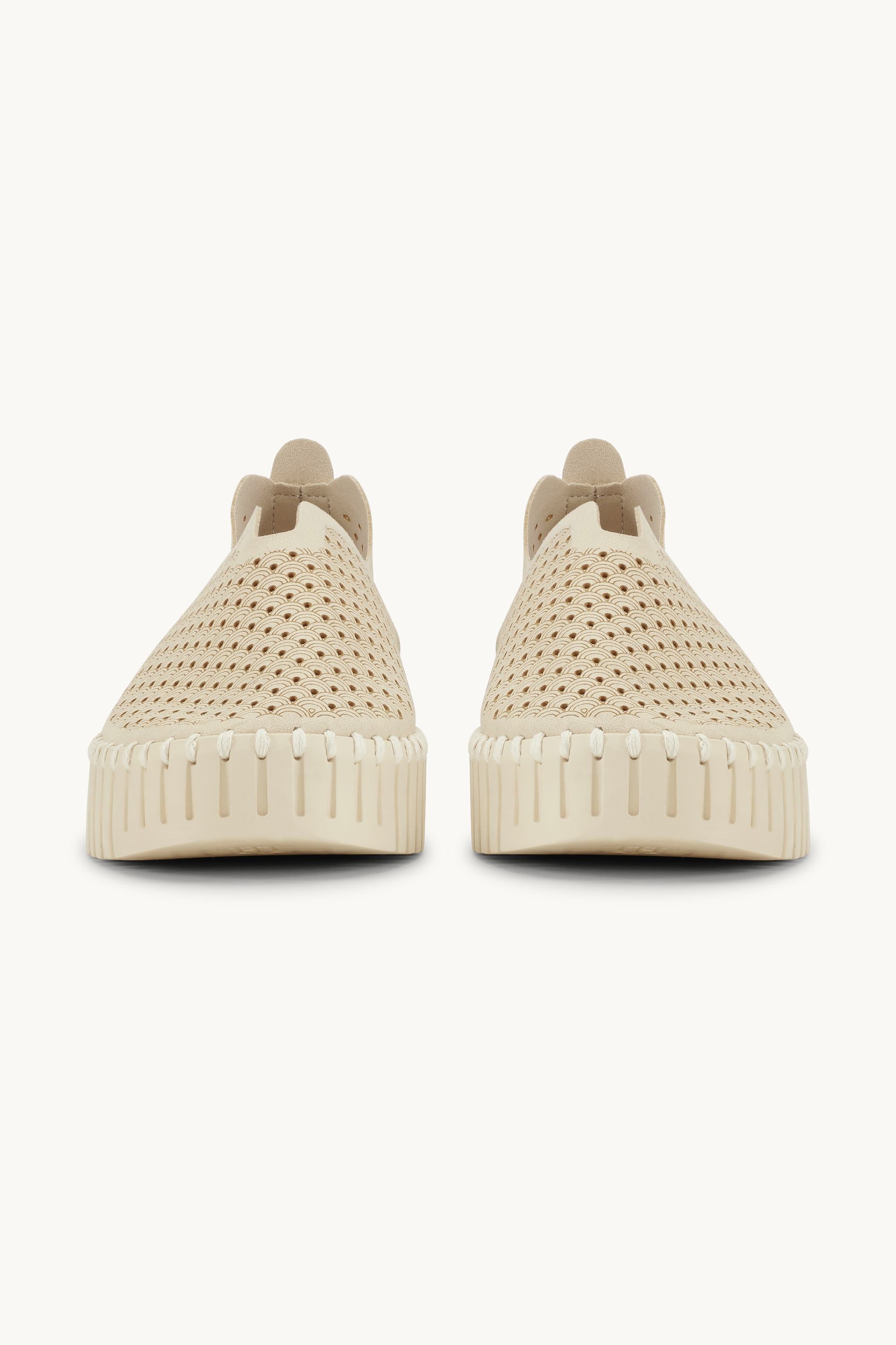 Platform Tulip Skor - Kit