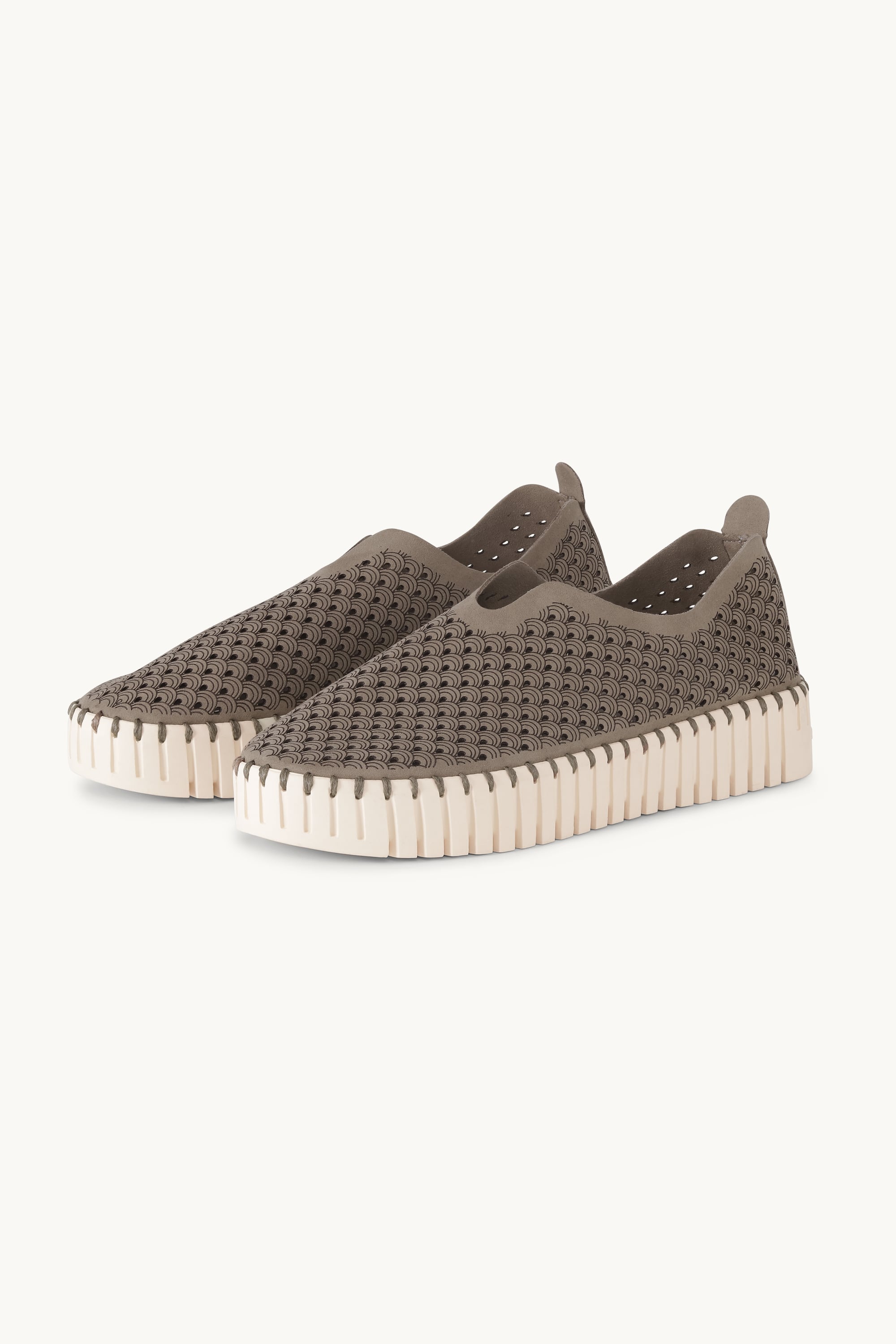 Platform Tulip Skor - Falcon