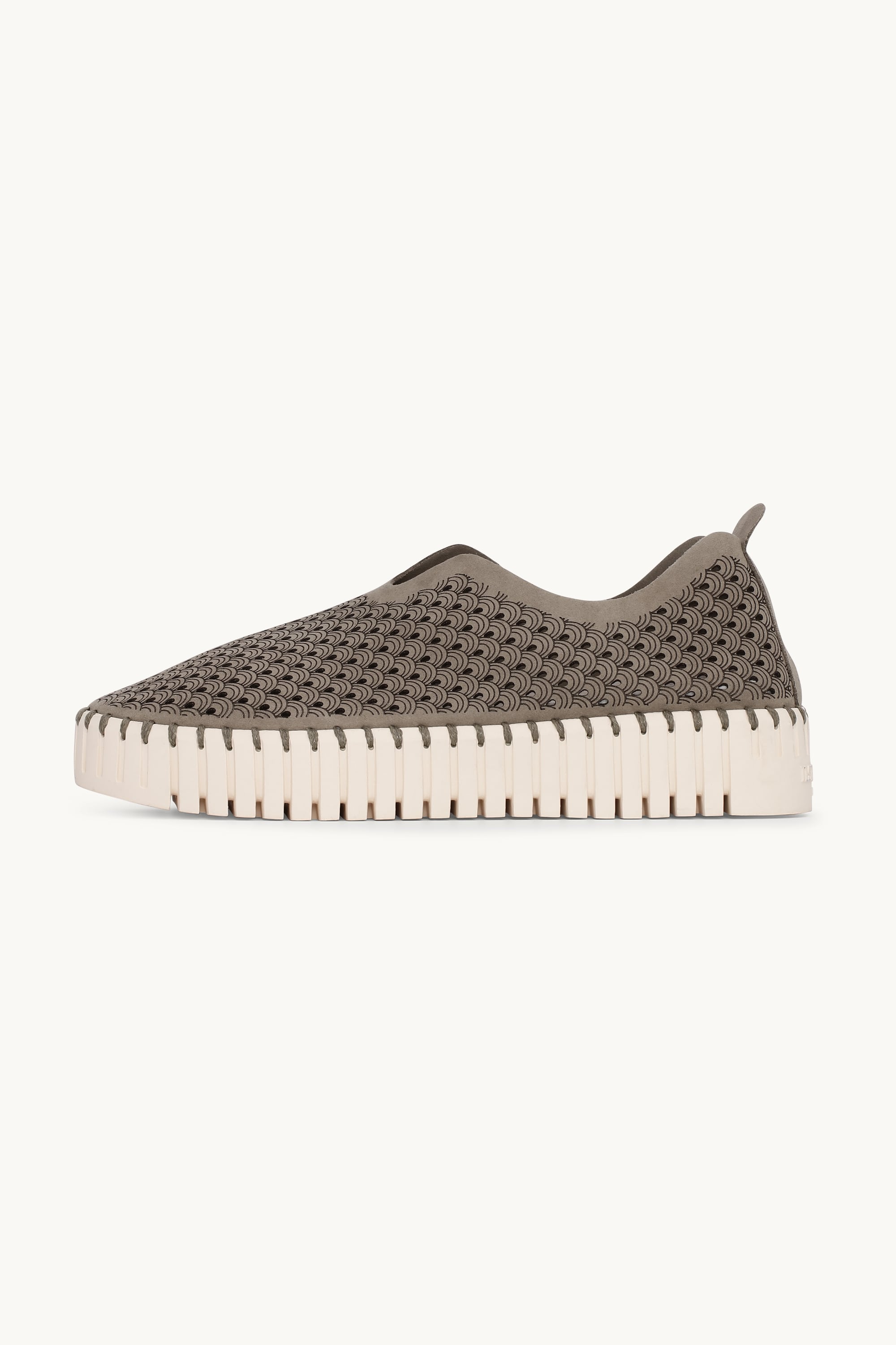 Platform Tulip Skor - Falcon