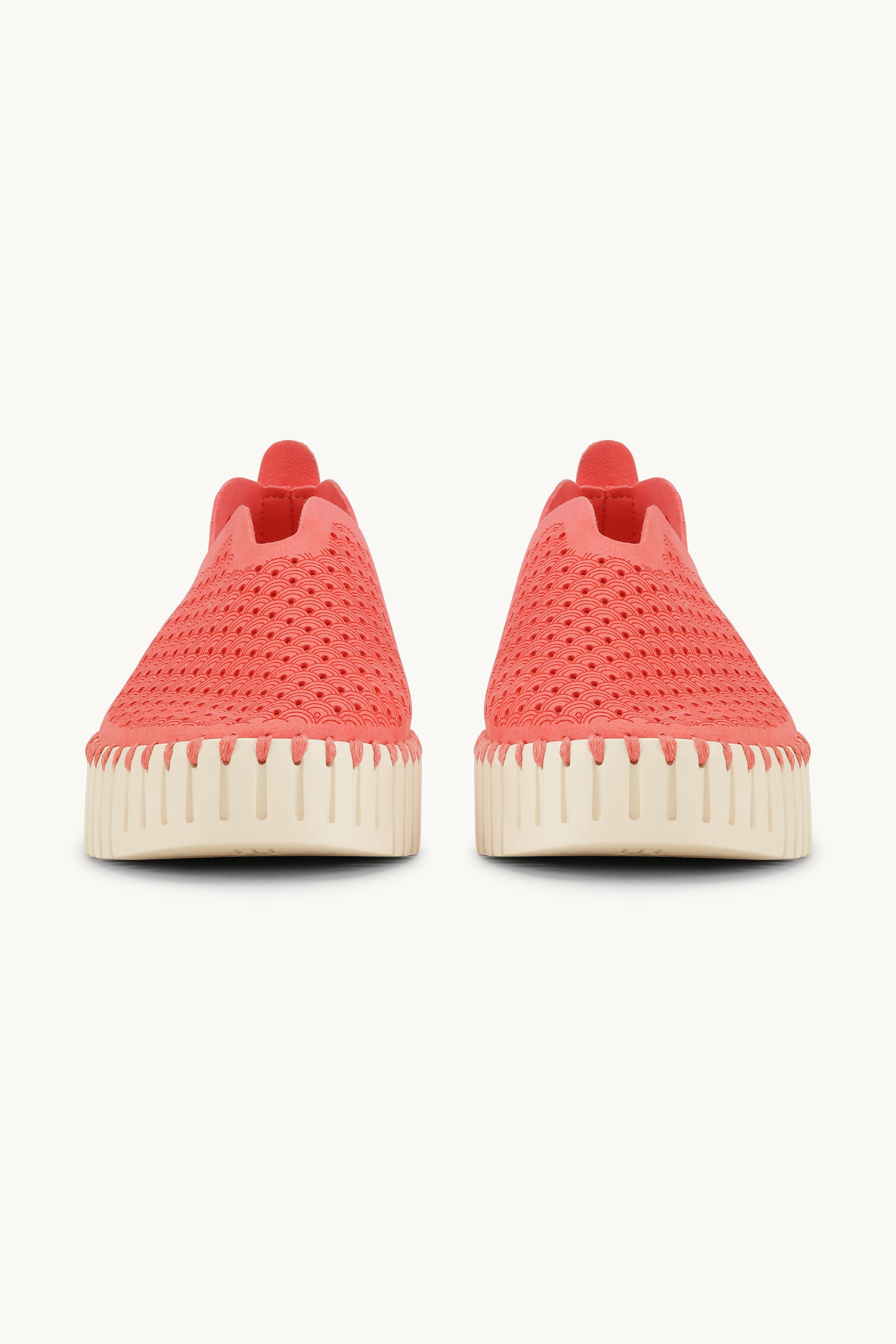 Platform Tulip Skor - Raspberry