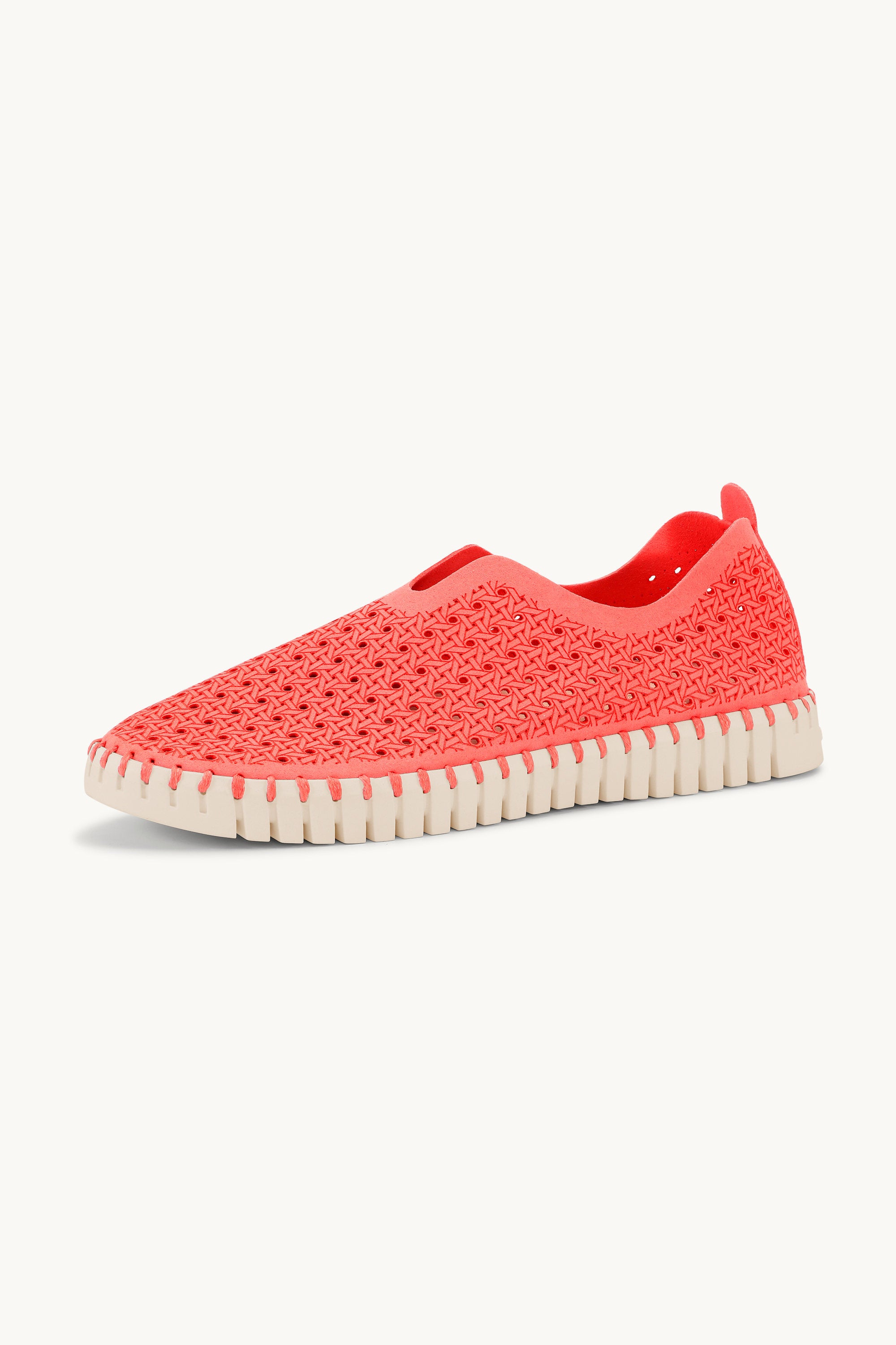 Tulip Skor - Raspberry Pearled Ivory