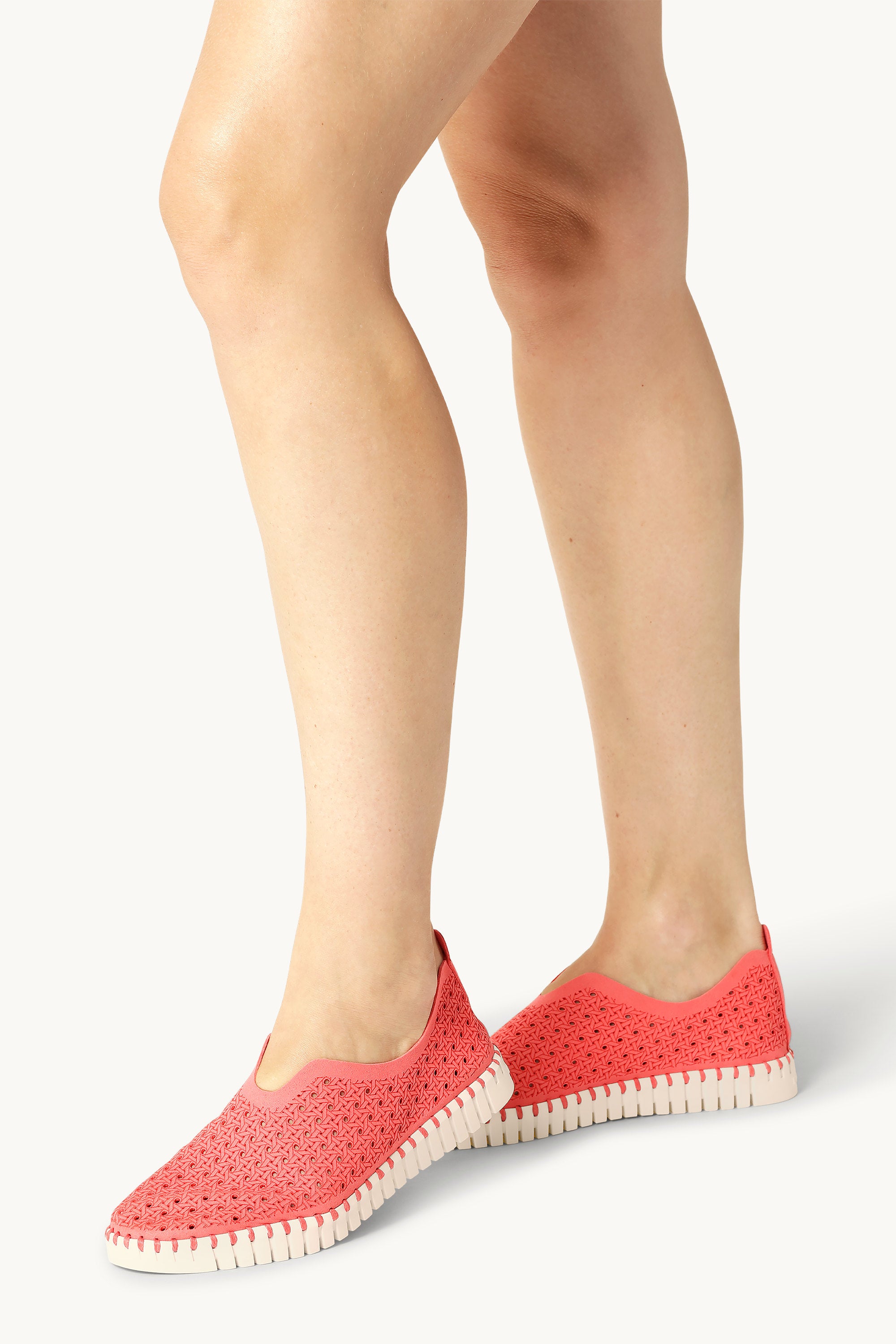 Tulip Skor - Raspberry Pearled Ivory