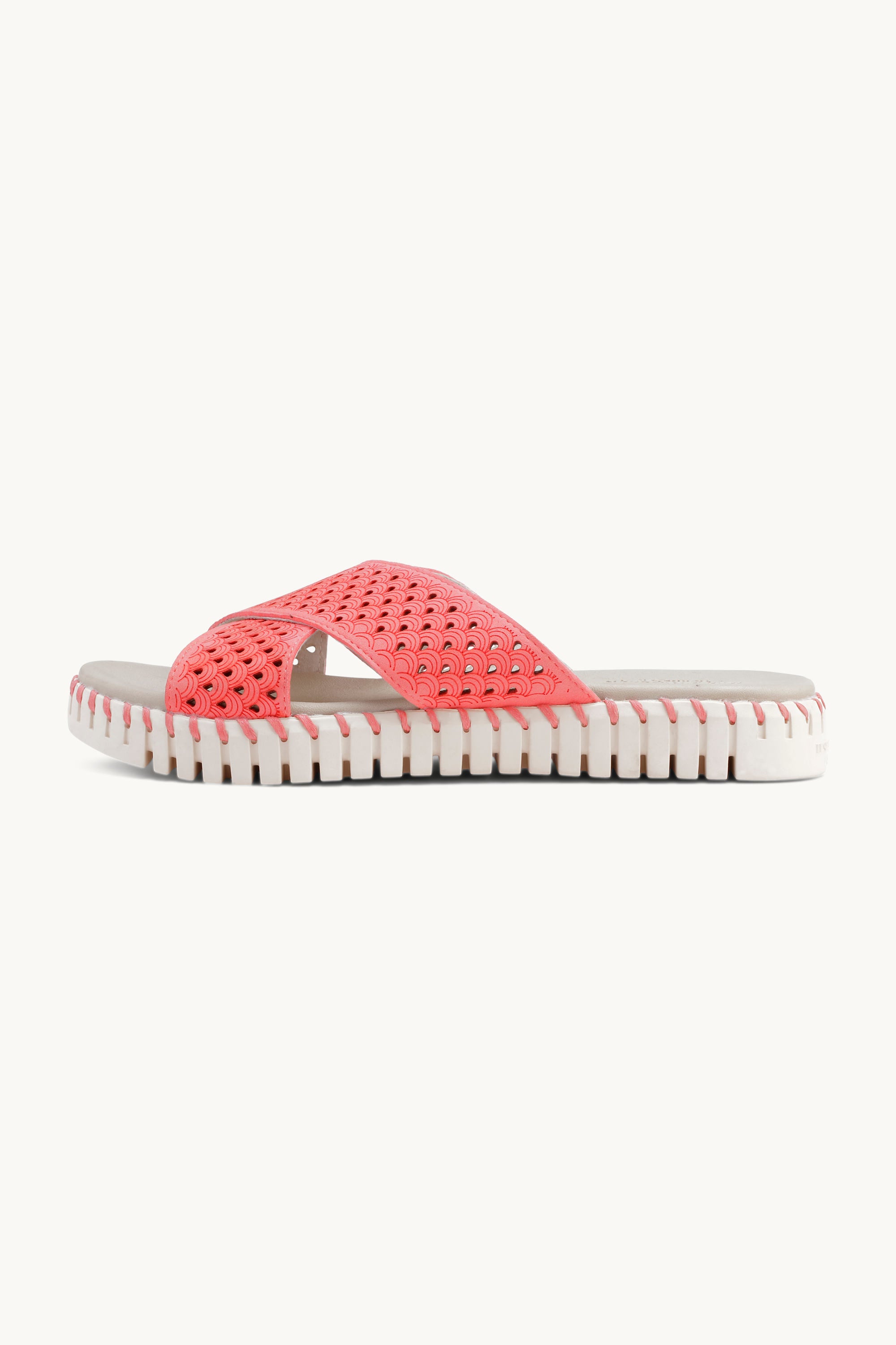 Sandals - Raspberry