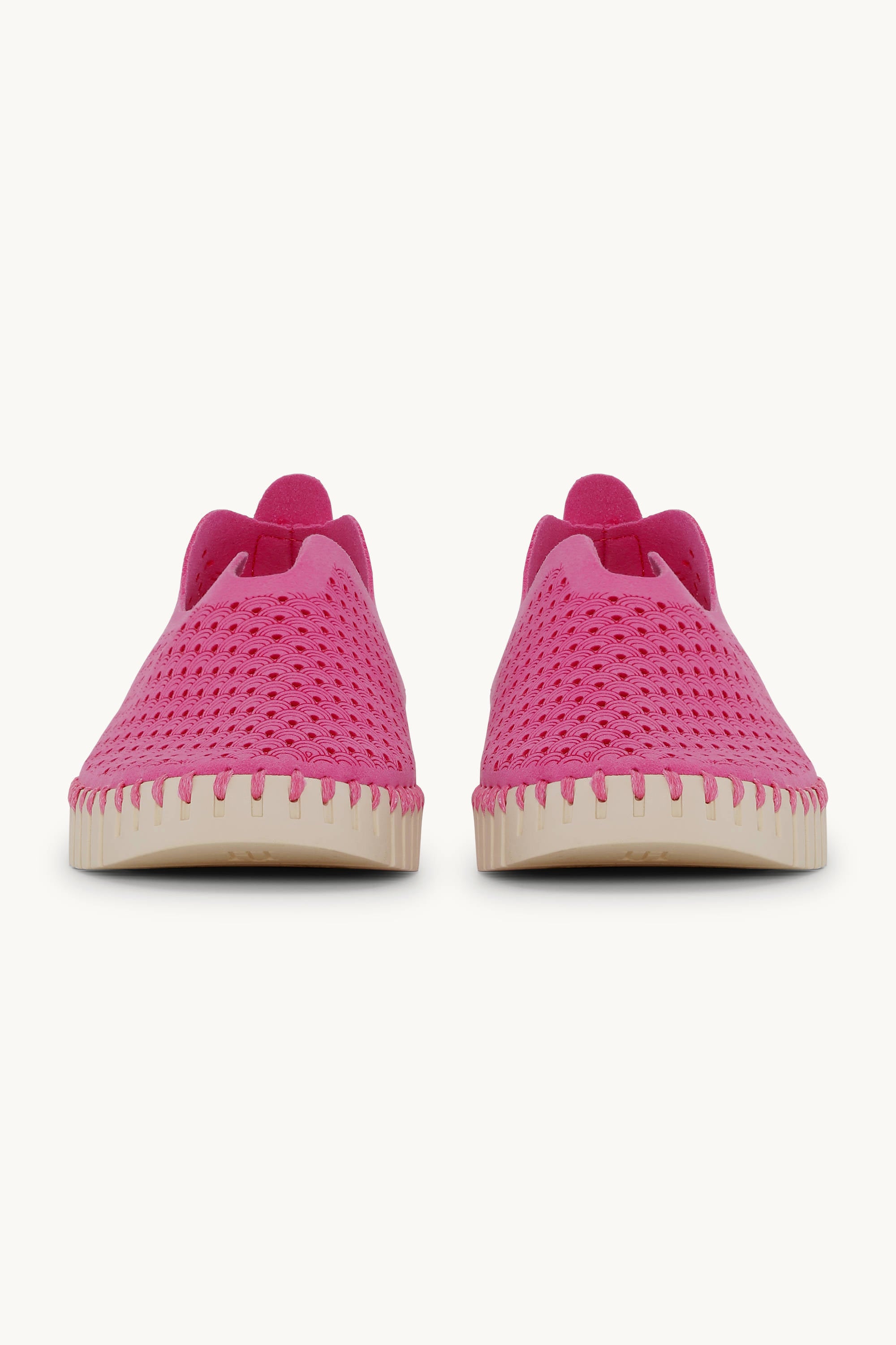 Tulip Skor - Rose Violet