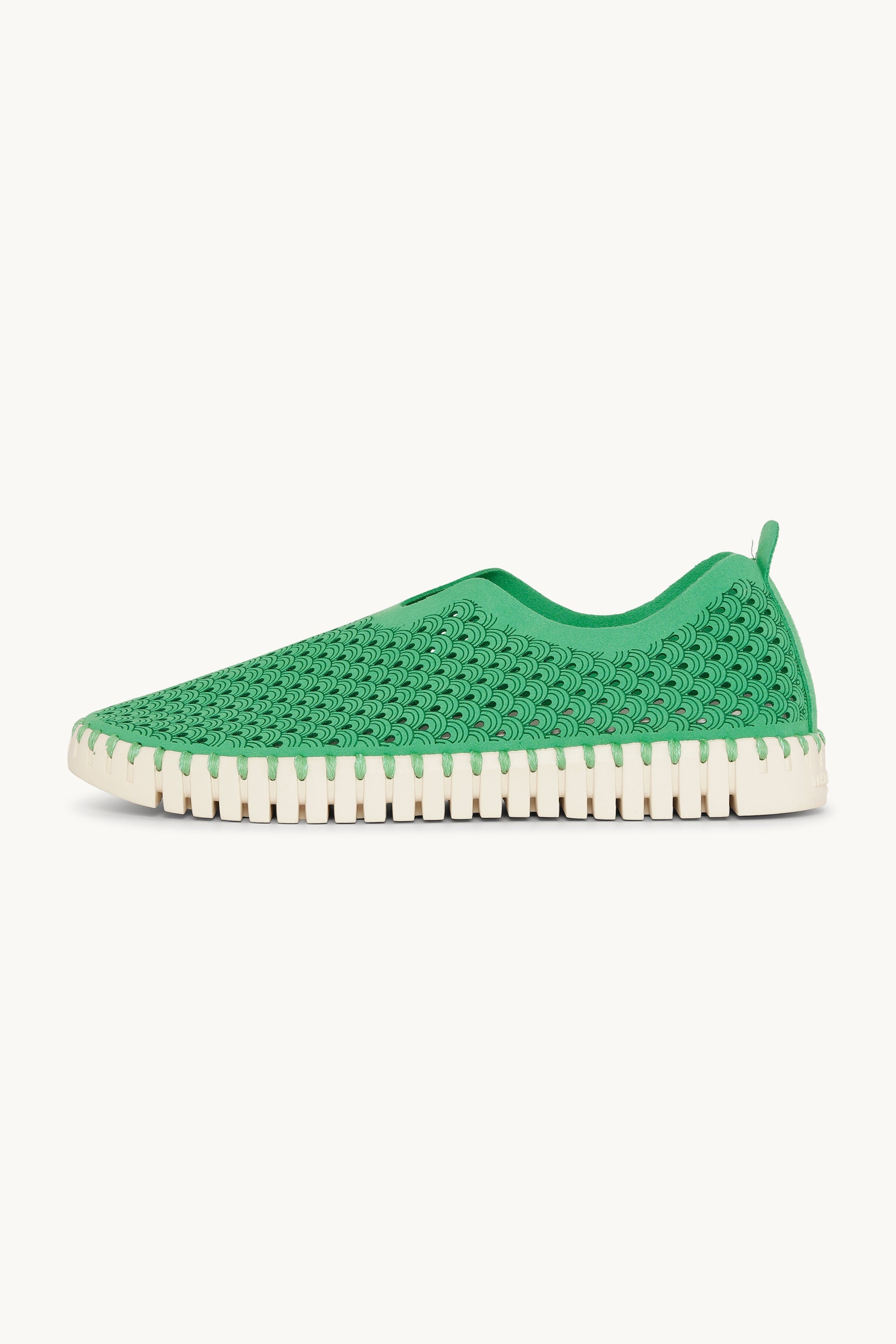 Tulip Skor - Fern Green