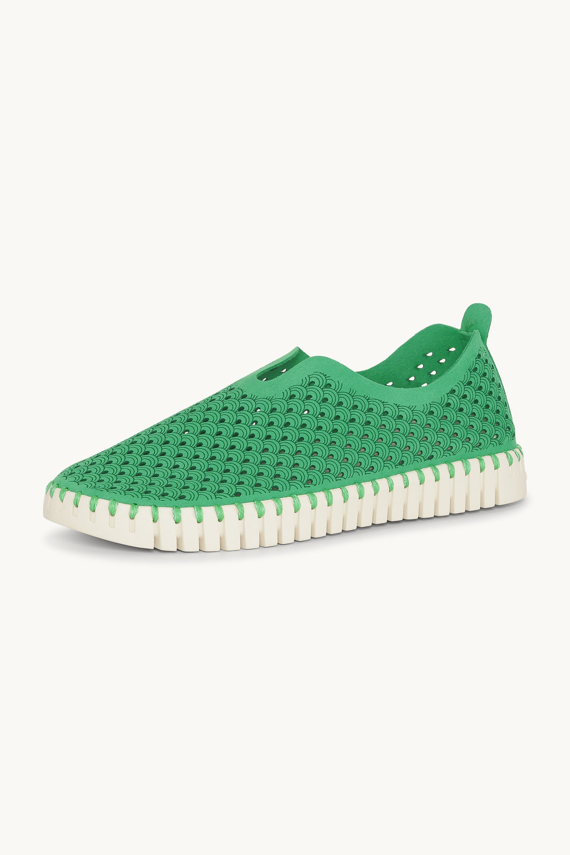 Tulip Skor - Fern Green