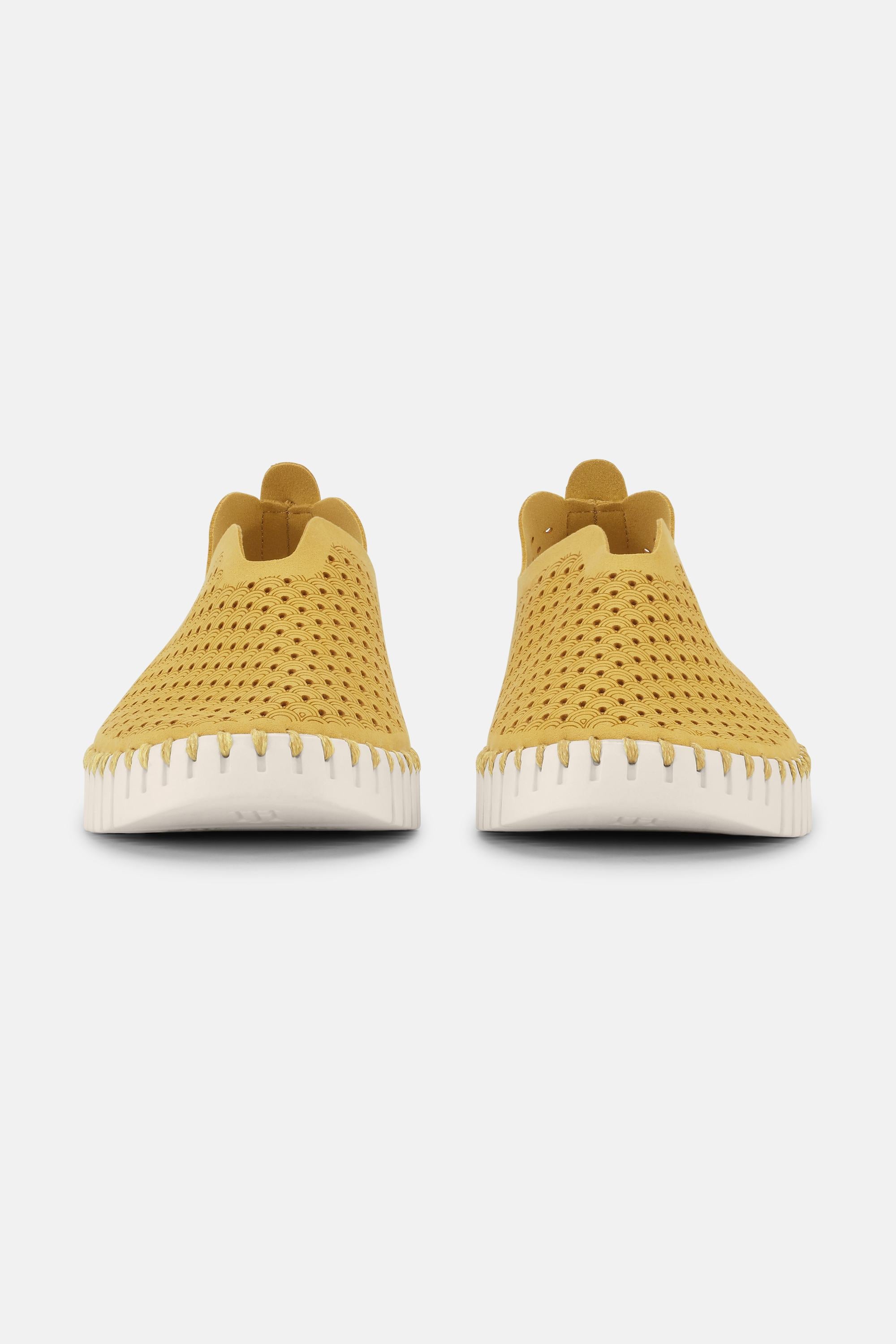 Tulip Skor - Golden Rod