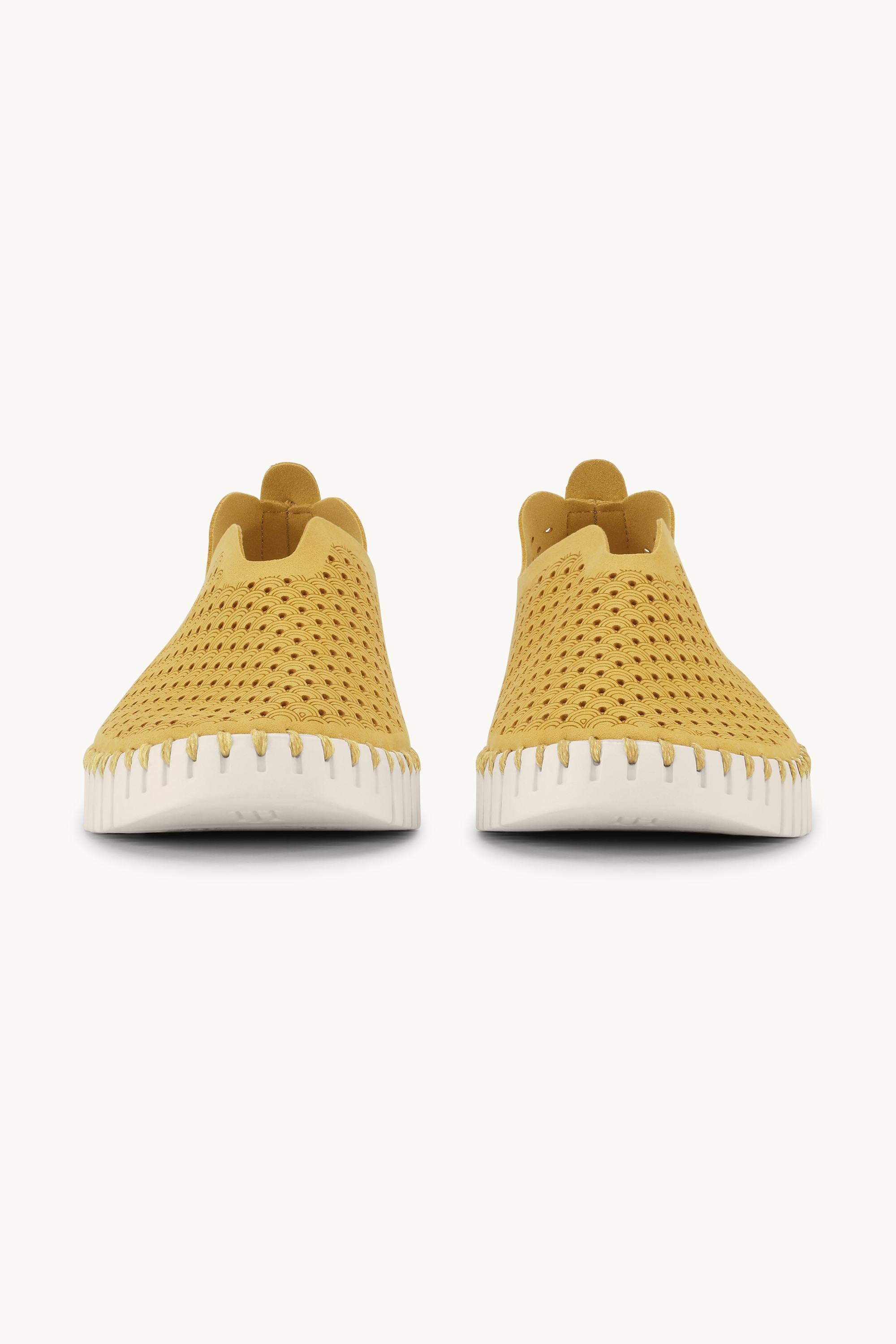 Tulip Skor - Golden Rod