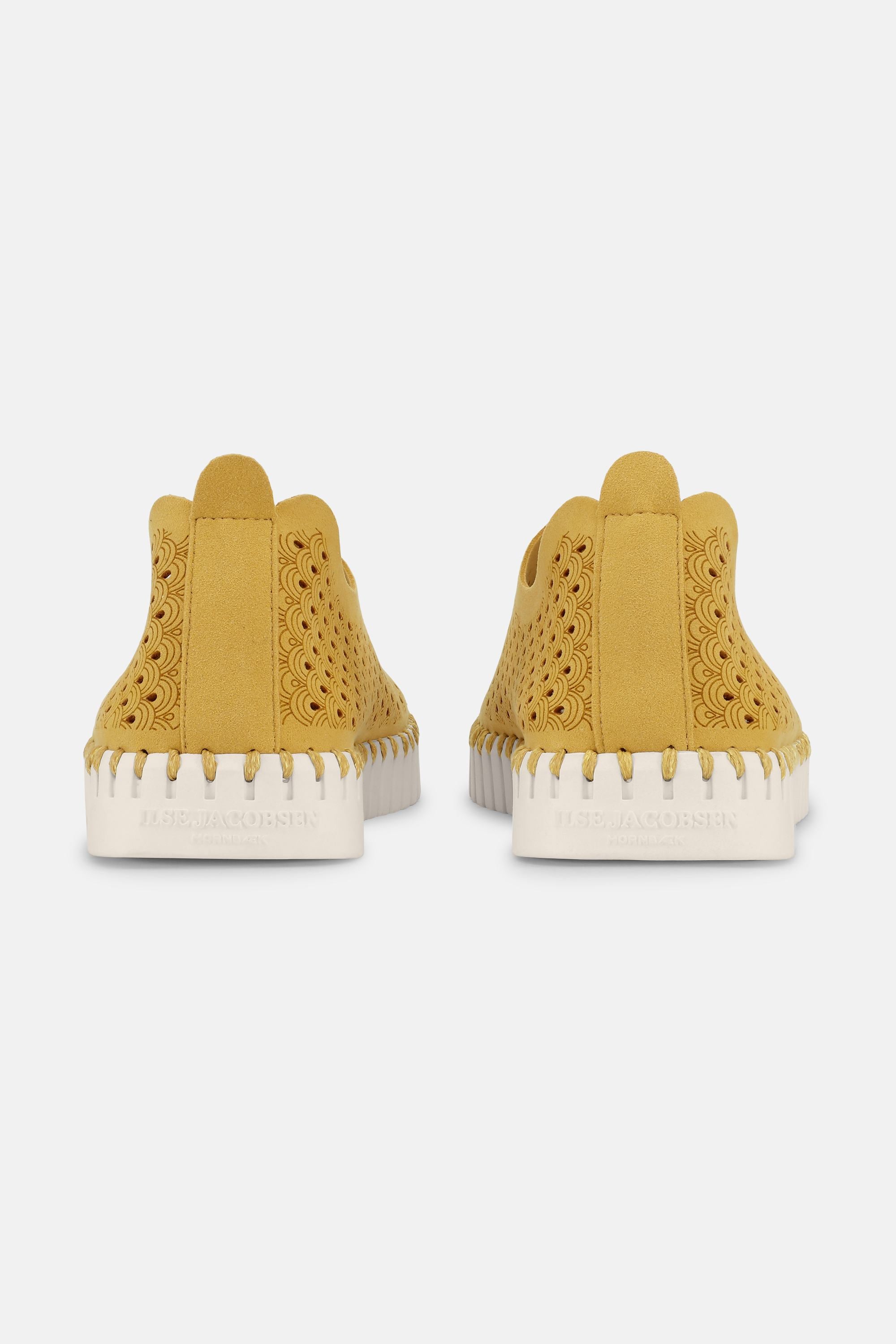 Tulip Skor - Golden Rod