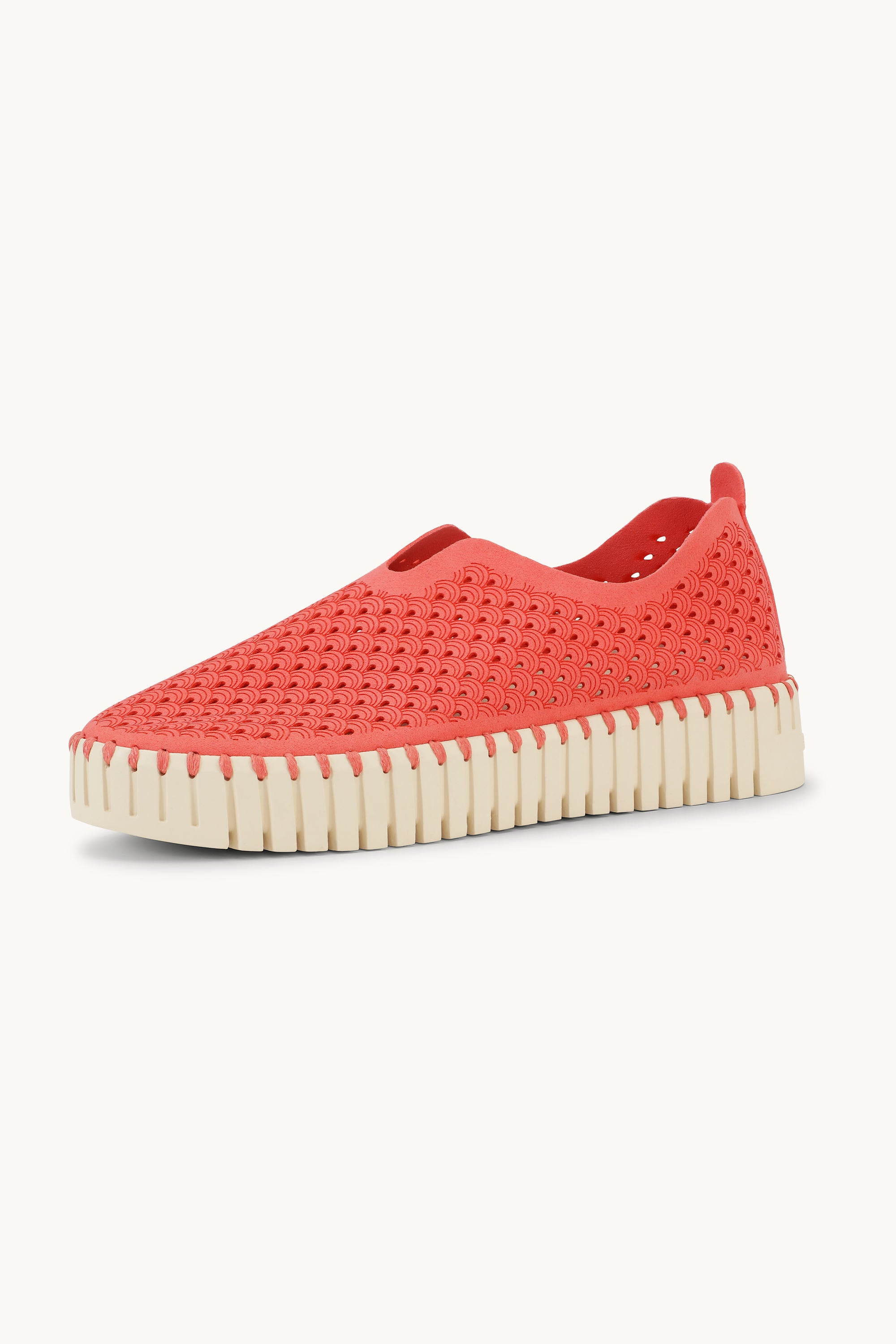 Platform Tulip Skor - Raspberry