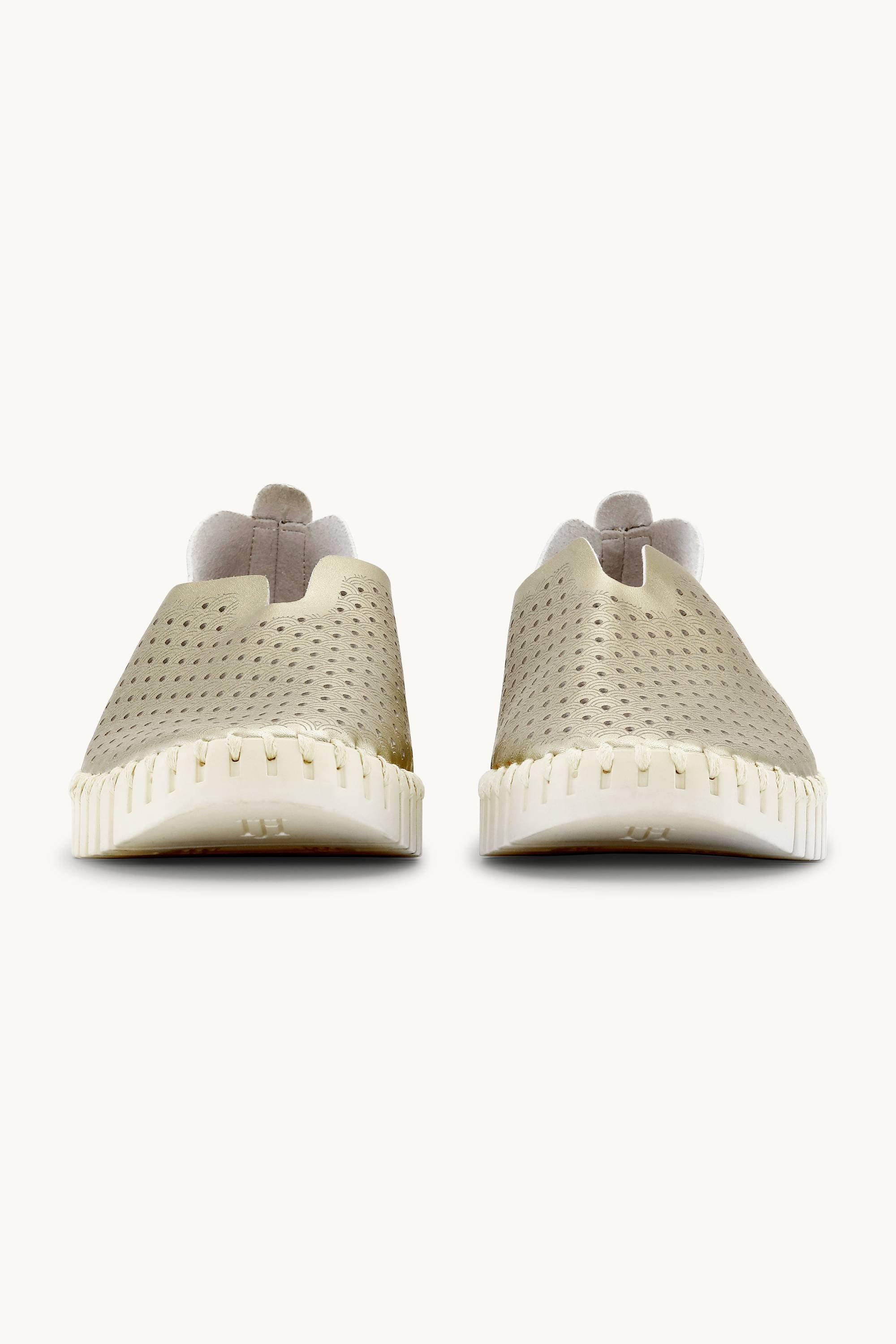 Tulip Skor Metallic - Platin