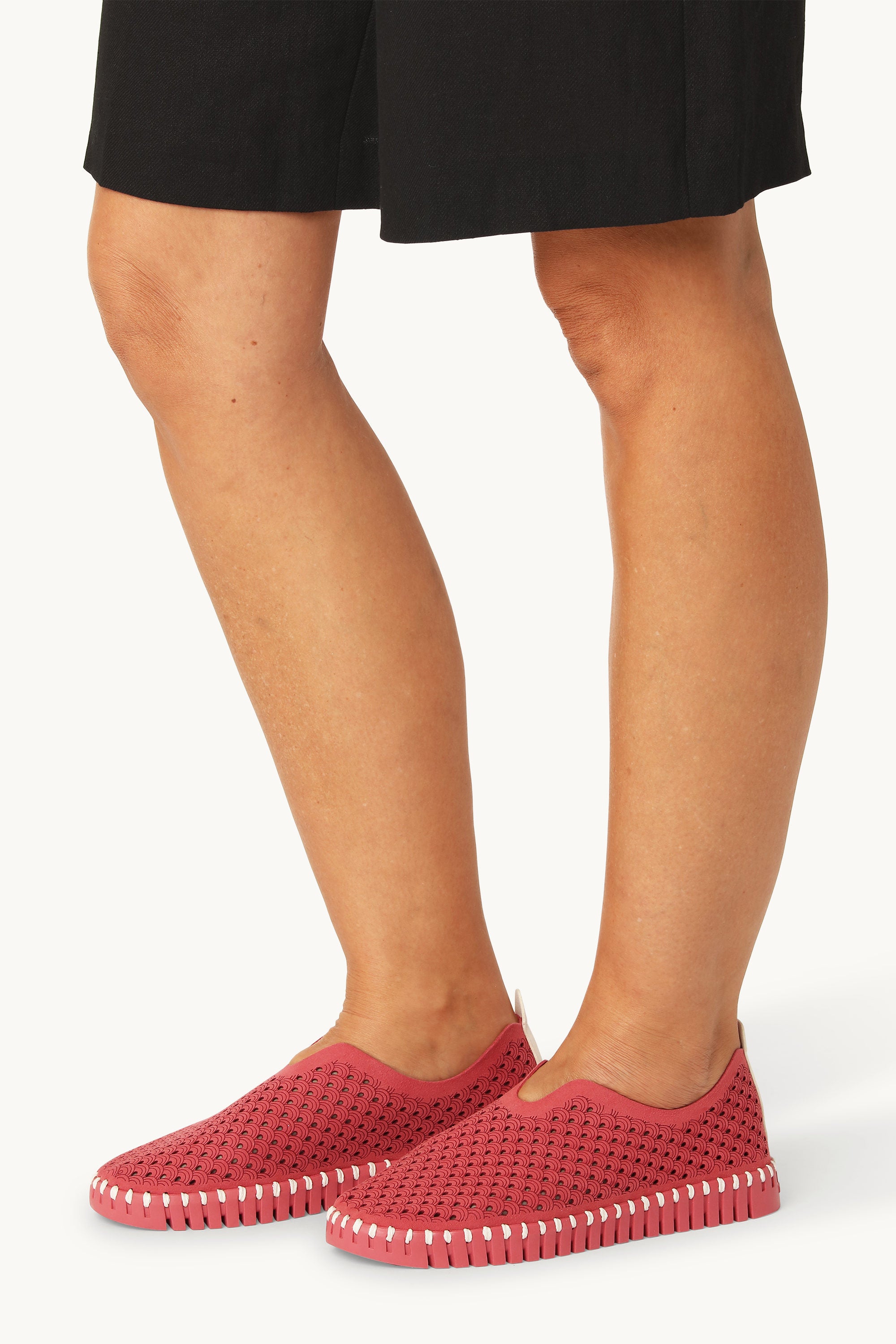 Tulip Skor - Baked Apple Baked Apple