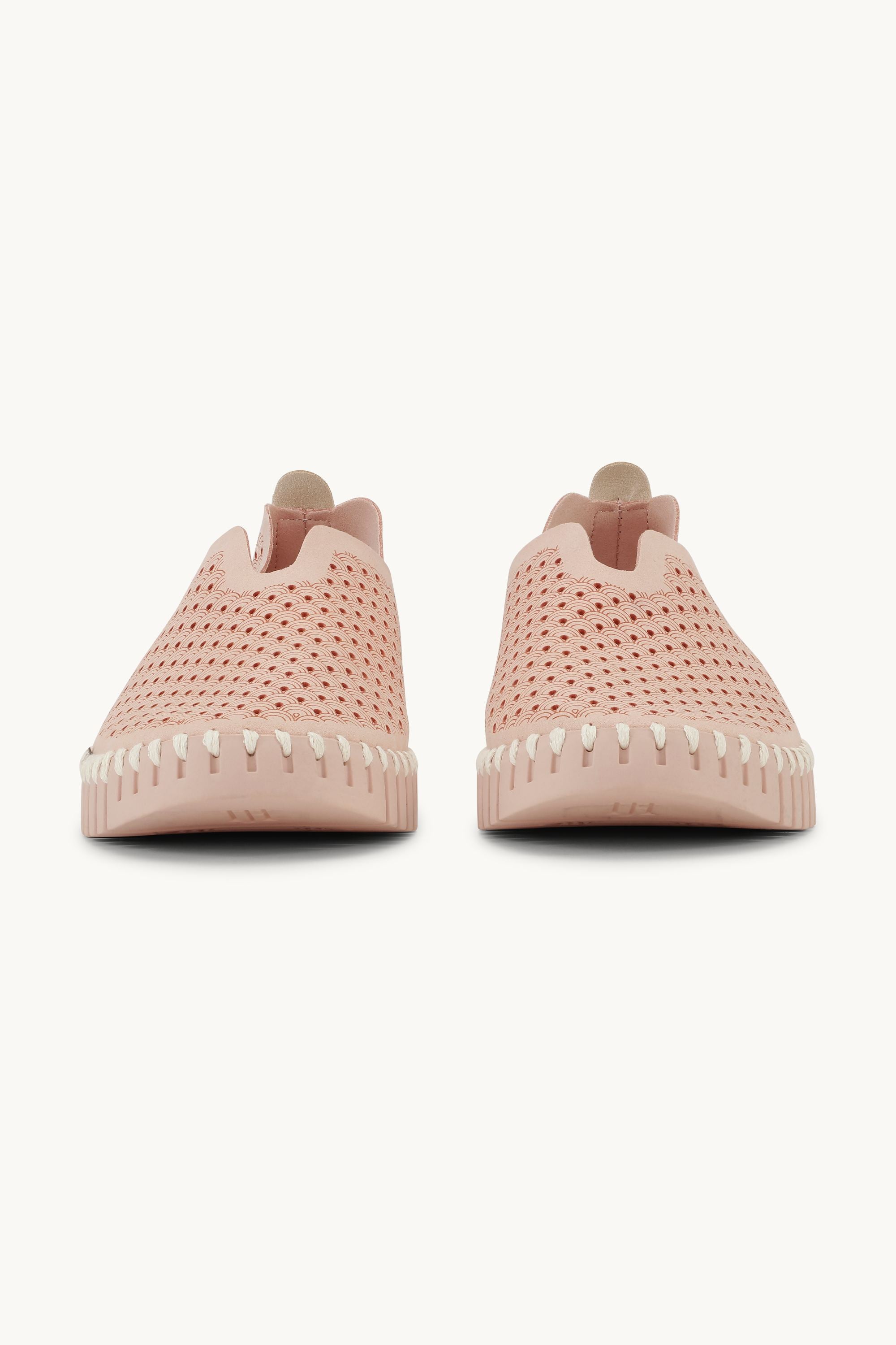 Tulip Skor - Adobe Rose Adobe Rose