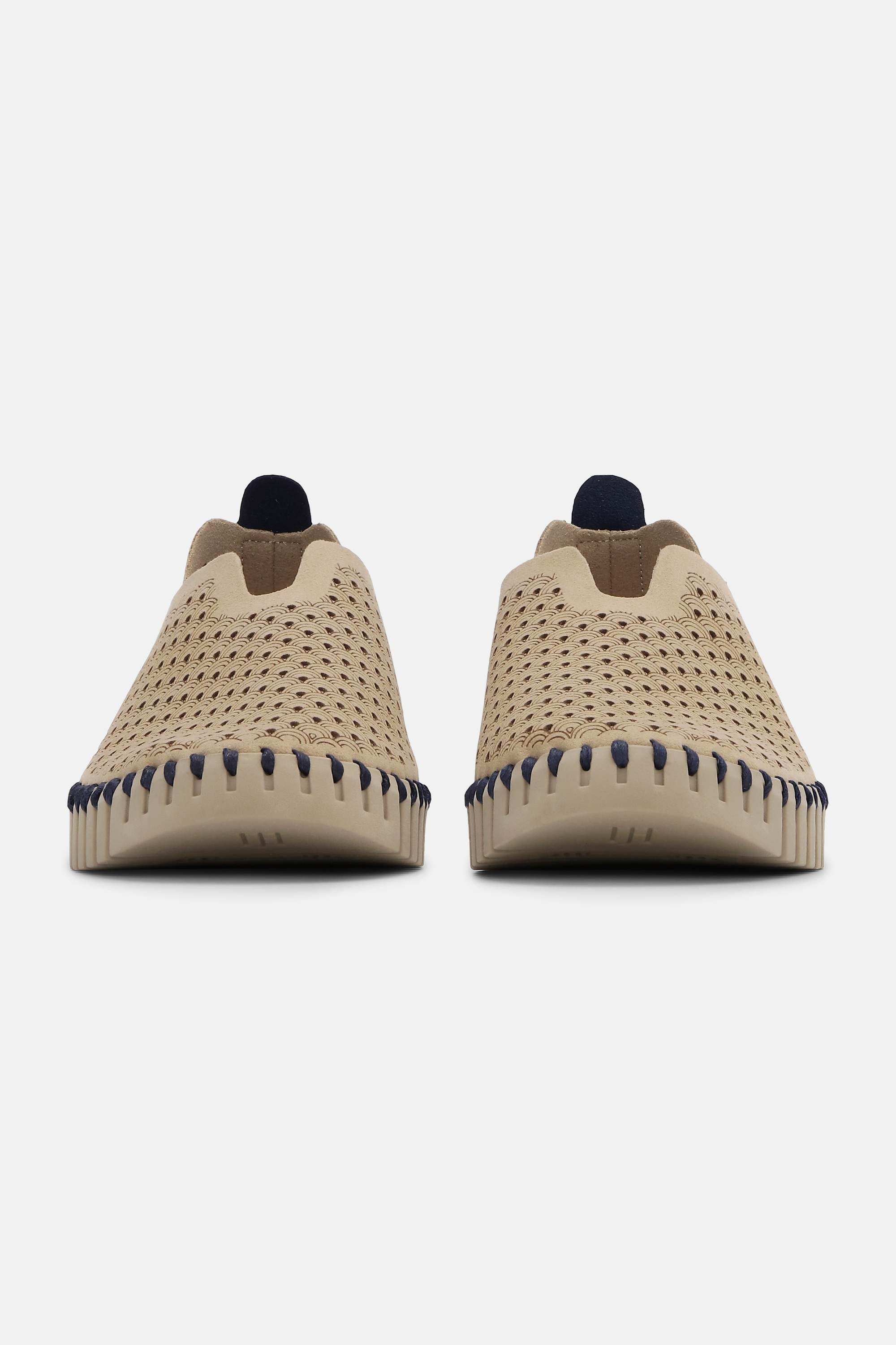 Tulip Skor - Coriander Coriander