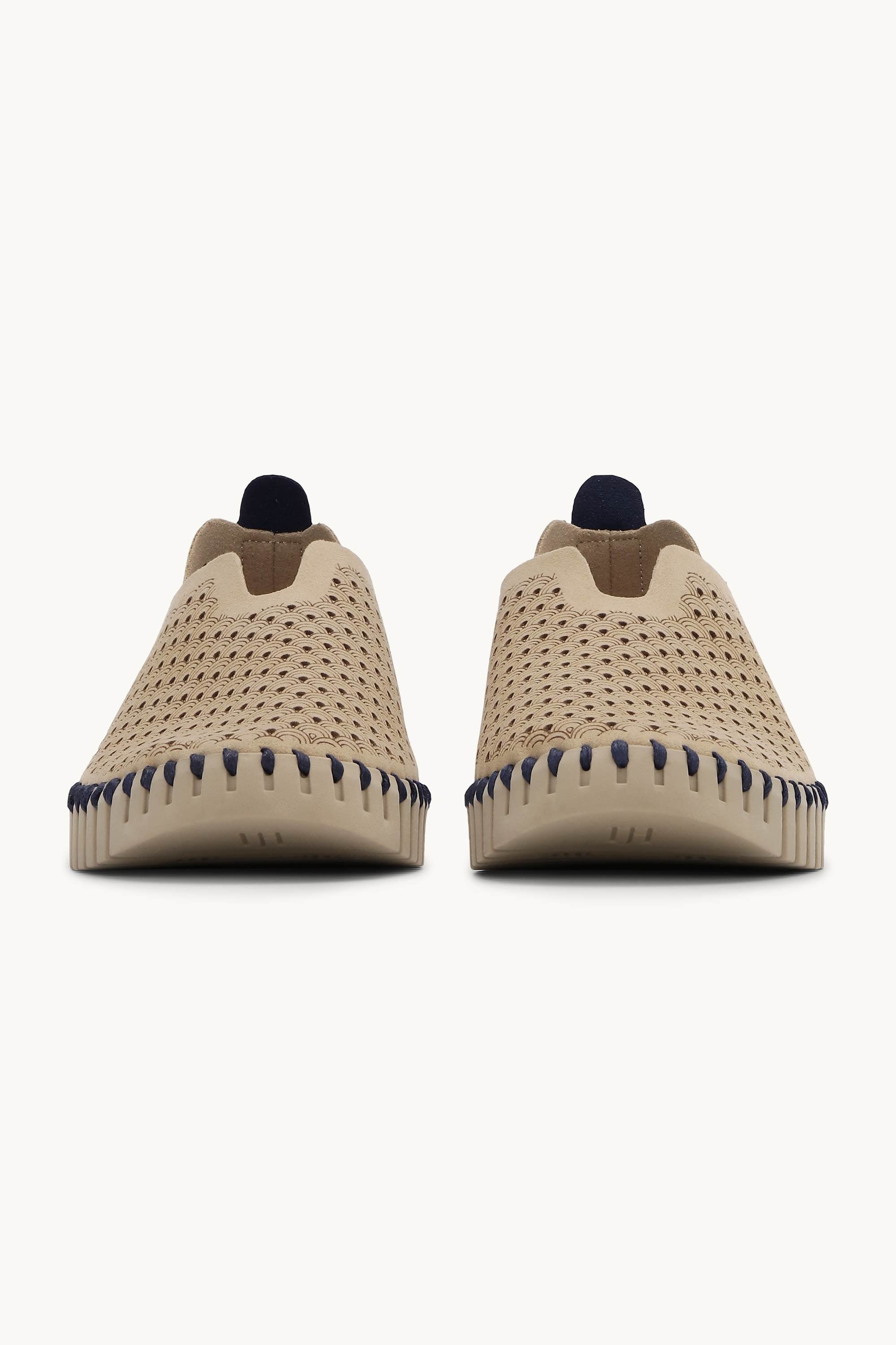 Tulip Skor - Coriander Coriander