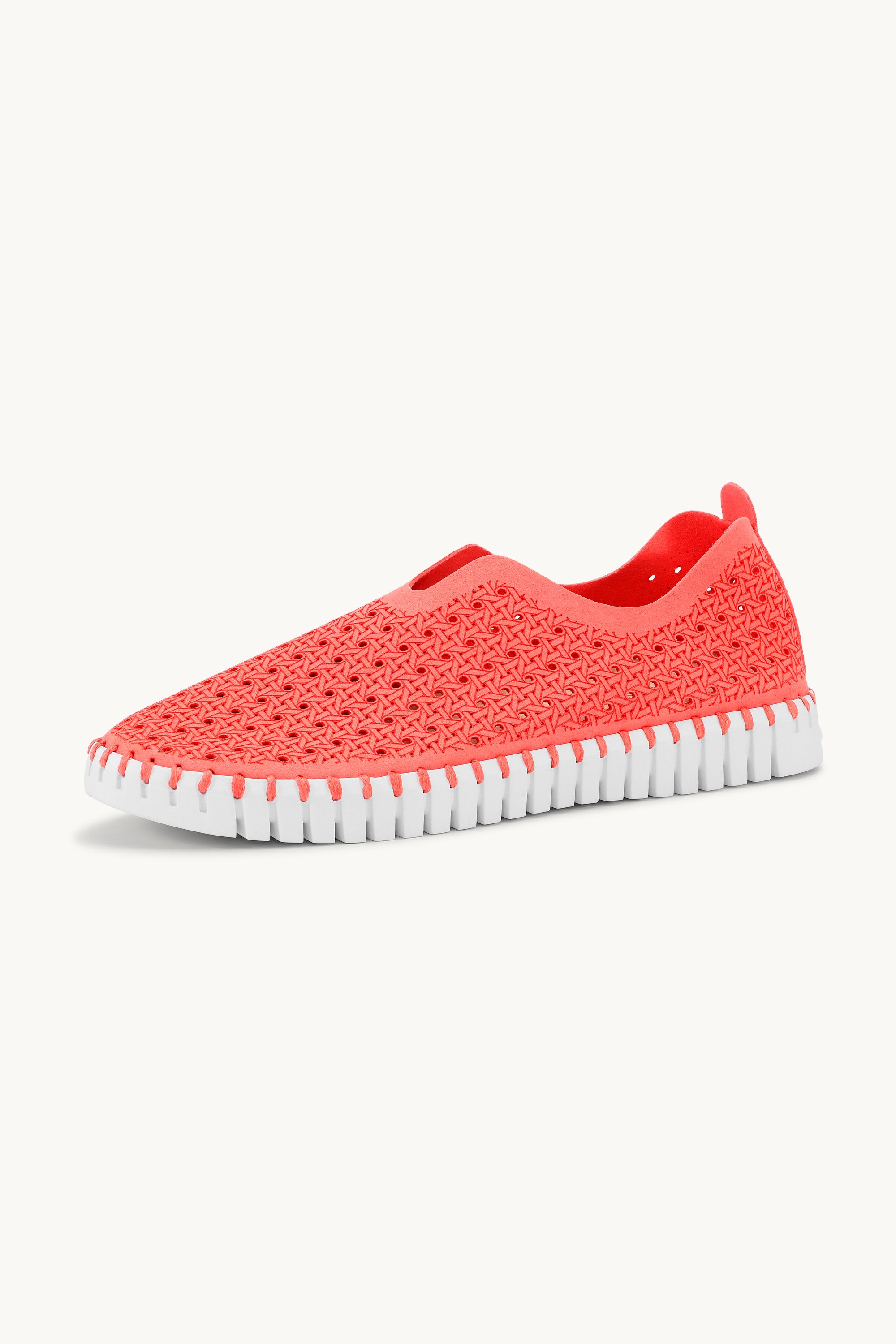 Tulip Skor - Raspberry White