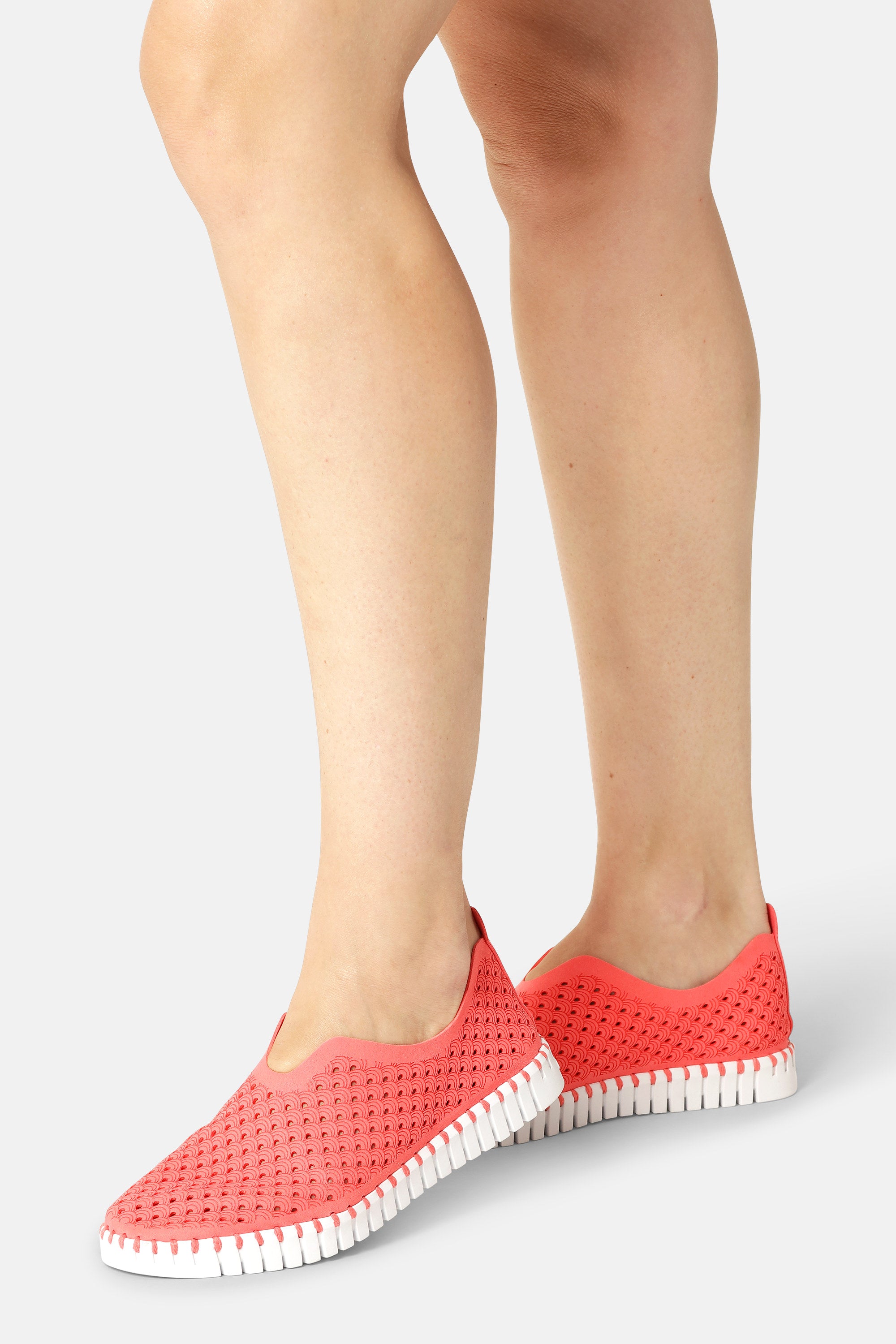 Tulip Skor - Raspberry White